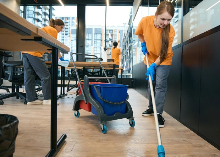 Pulizia uffici a Lamezia Terme 88046