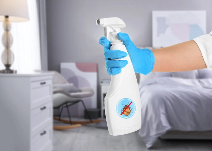 Trattamento contro le cimici dei letti a Faenza 48018