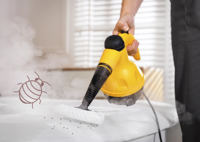 Trattamento contro le cimici dei letti a Cosenza 87100